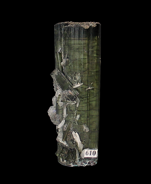 Elbaite Tourmaline with Pyrite & Cleavelandite, Pederneira mine, S&atilde;o Jos&eacute; da Safira, Minas Gerais, Brazil