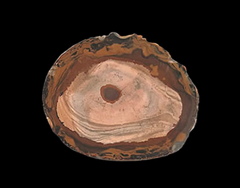 Chalcedony variety Jasper, Cairo, Egypt